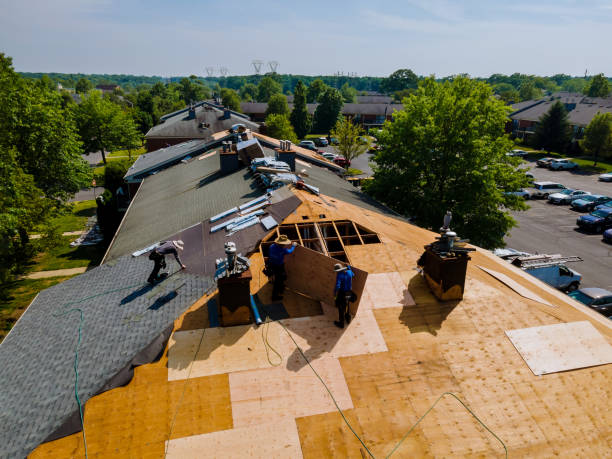 Best Metal Roofing Contractor  in Ina, IL