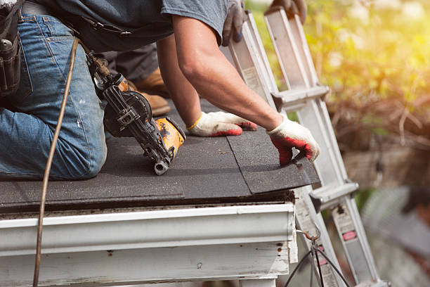 Best Storm Damage Roof Repair  in Ina, IL